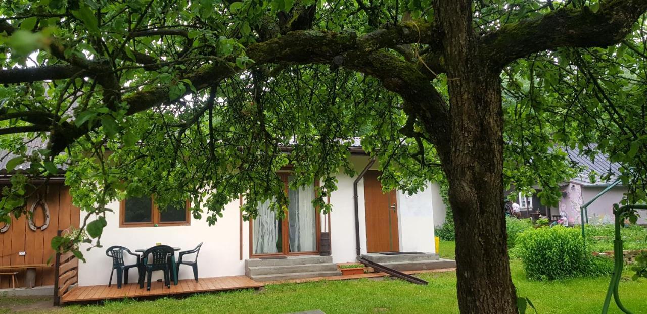 Villa Letnisko Wiolinkowo à Sarnaki Extérieur photo