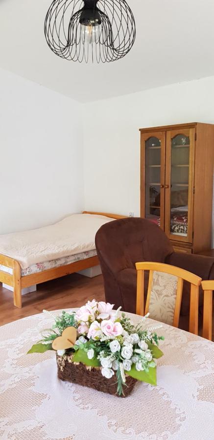 Villa Letnisko Wiolinkowo à Sarnaki Extérieur photo